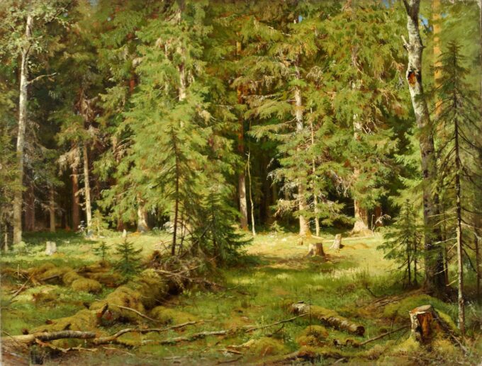 Anagoría del bosque – Ivan Shishkin Iván Shishkin