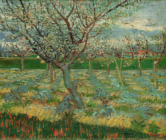 Huerto en flor – Van Gogh Vincent Van Gogh 85x75