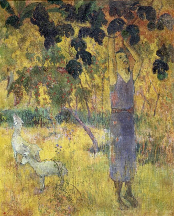 Hombre recogiendo frutas de un árbol – Paul Gauguin Paul Gauguin 70x85