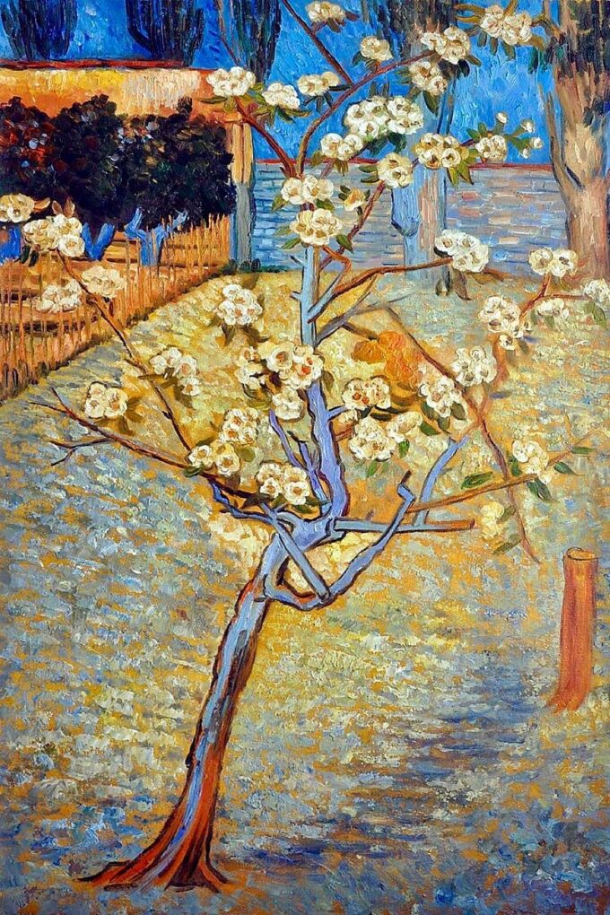 Peral en flor – Van Gogh Vincent Van Gogh 70x105