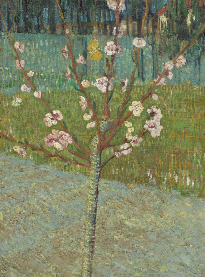 Almendro en flor – Van Gogh Vincent Van Gogh 70x105