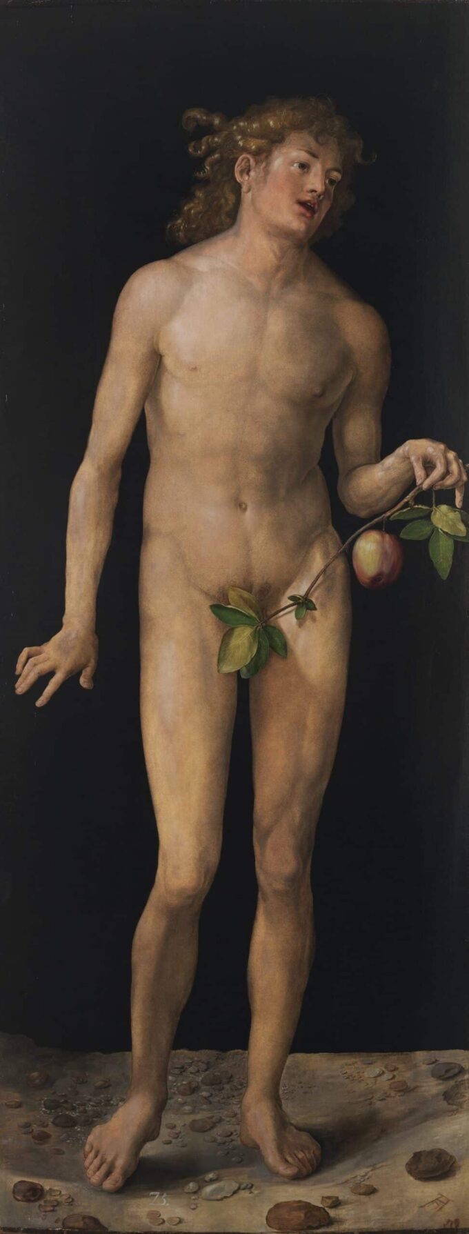 Adán – Albrecht Dürer Albrecht Dürer 70x160