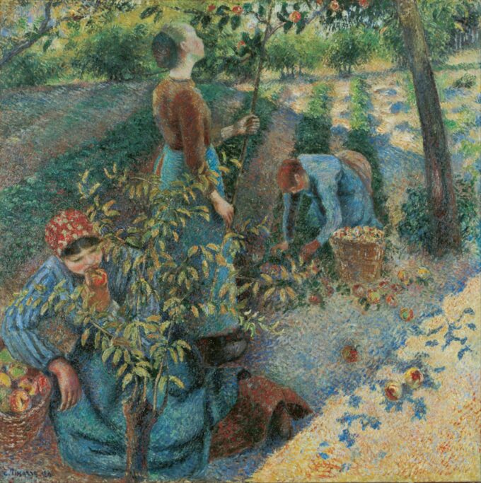 Recolección de manzanas – Camille Pissarro Camille Pissarro 70x70