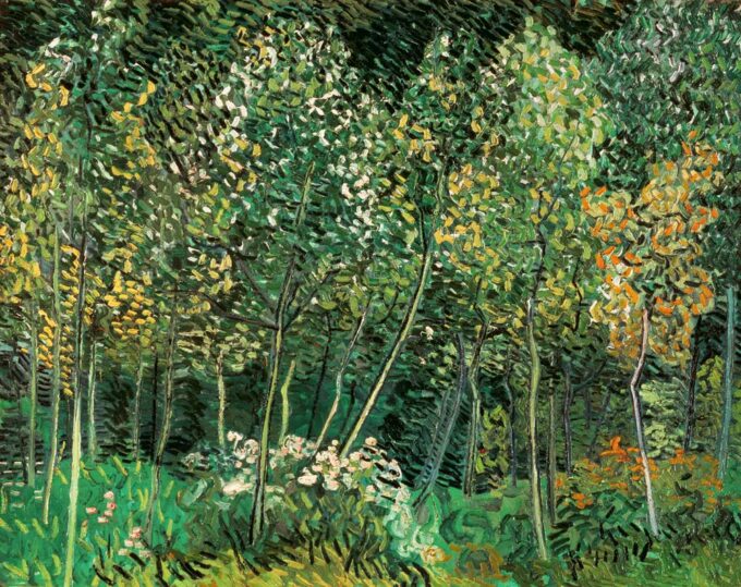 Pequeño bosque – Van Gogh Vincent Van Gogh 85x75