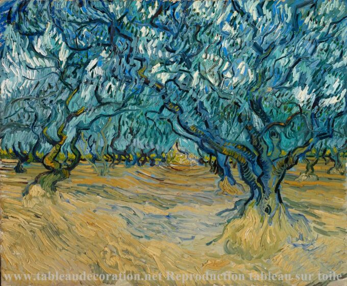 El Campo de Olivos – Van Gogh Vincent Van Gogh 85x75