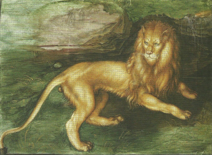 León – Albrecht Dürer Albrecht Dürer 105x70