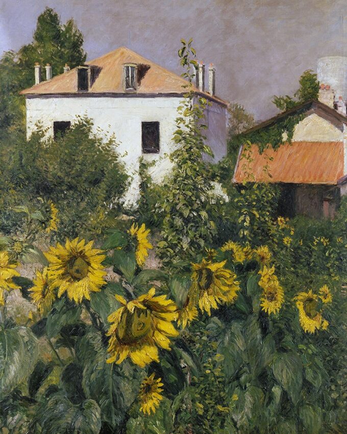 Girasoles en el jardín de Petit Gennevilliers – Caillebotte Gustave Caillebotte 70x85