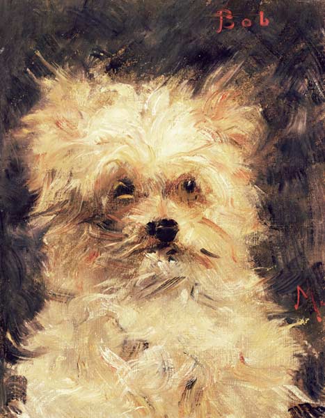 Cabeza de un perro «Bob» – Edouard Manet Édouard Manet 70x85