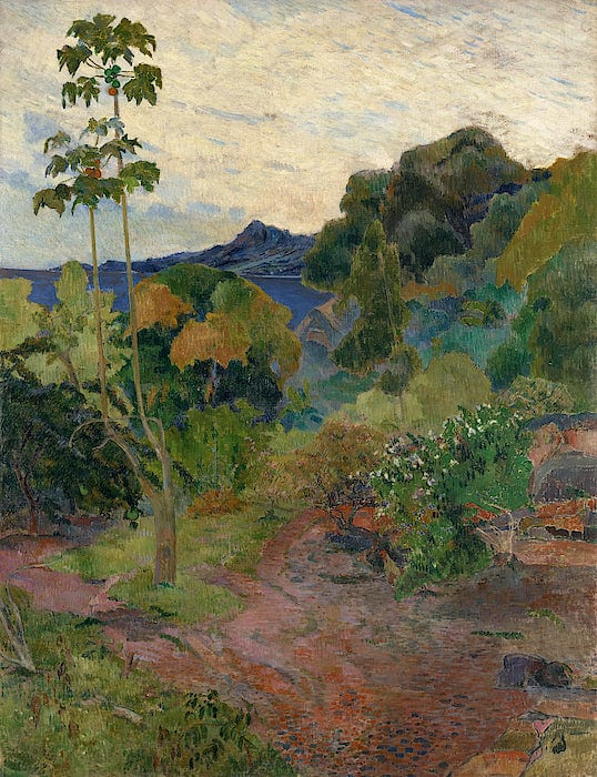 Paisaje de Martinica – Paul Gauguin Paul Gauguin 70x85