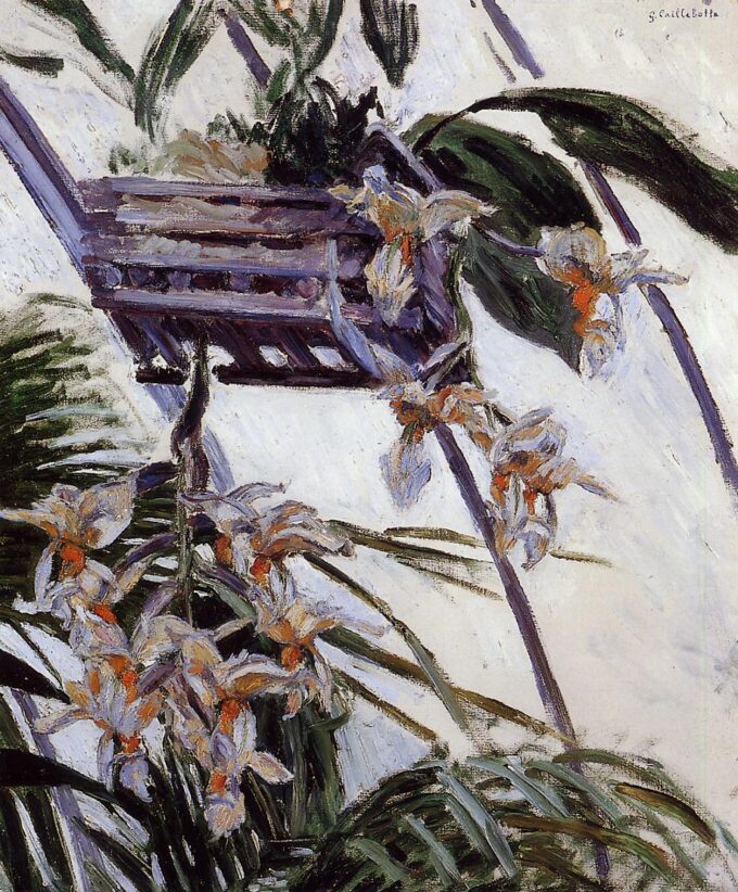 Orquídeas – Caillebotte Gustave Caillebotte 70x85