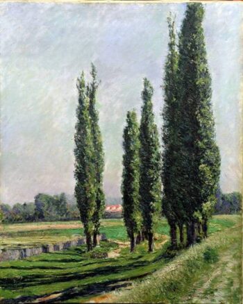 Álamos al borde del río en Argenteuil – Caillebotte Gustave Caillebotte