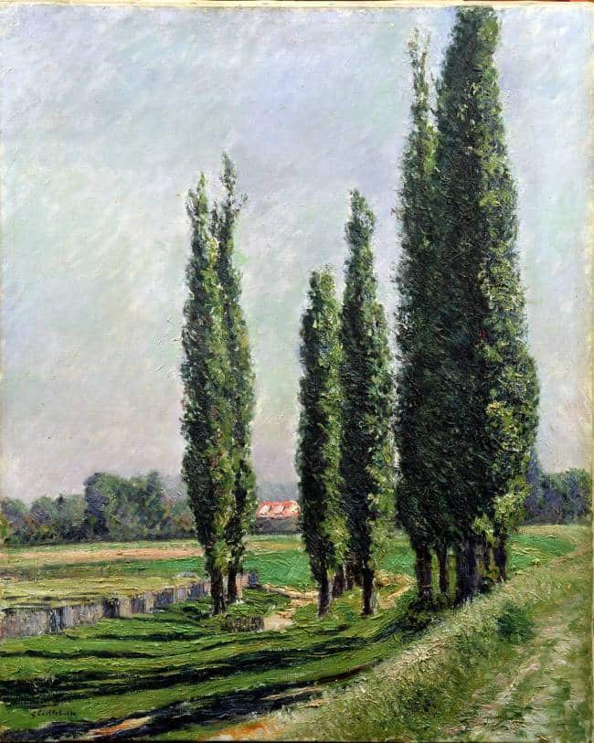 Álamos al borde del río en Argenteuil – Caillebotte Gustave Caillebotte 70x85