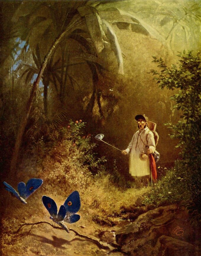 El cazador de mariposas – Carl Spitzweg Carl Spitzweg 70x85